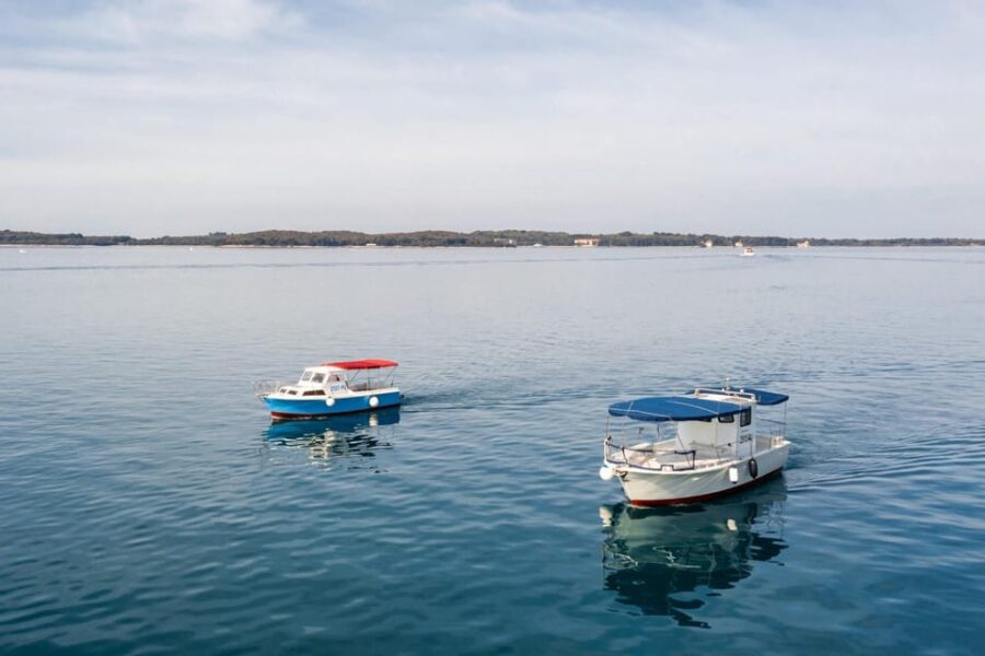 Fazana: Sail Like a President With Brijuni Panorama
