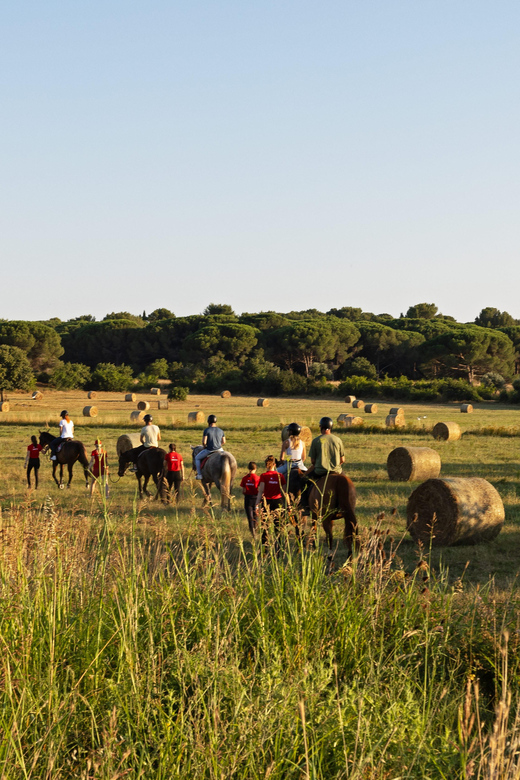 Fazana: Suneset 1-Hour Horse Riding in Nature With Guide