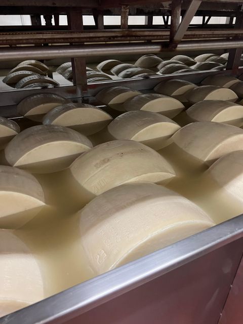 Ferrari Museum, Parmesan Cheese, Balsamic Vinegar Food Tour - Tour Overview