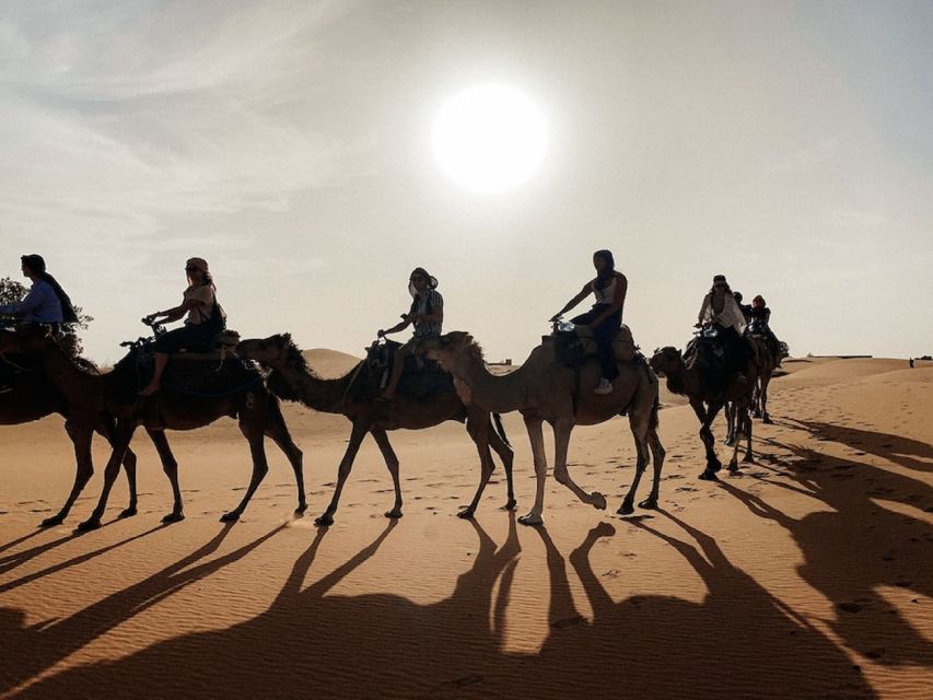 Fes to Marrakech via Marzouga : 2 Days 1 Night Desert Tour