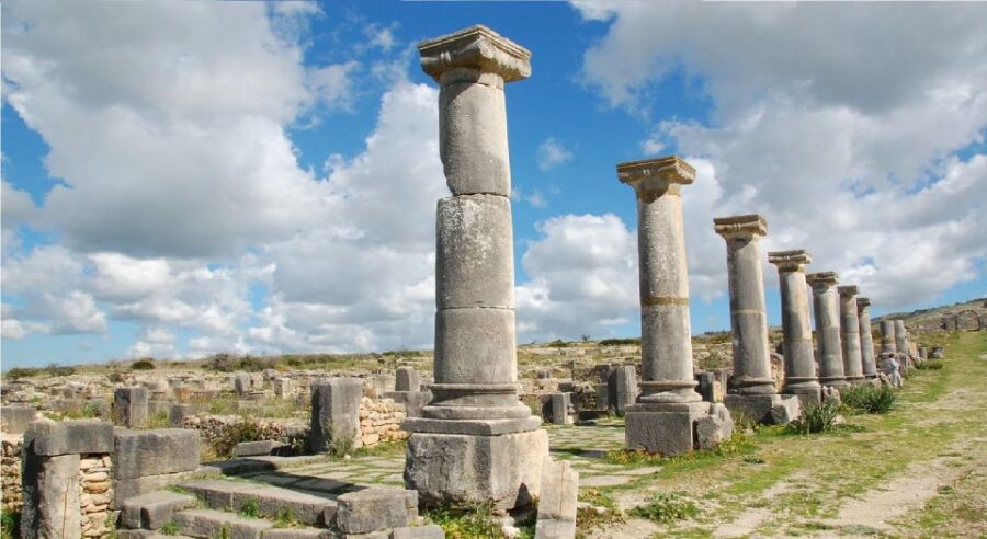 Fes: Volubilis Roman Ruins, Mouly Idriss, & Meknes Day Trip - Trip Overview and Highlights