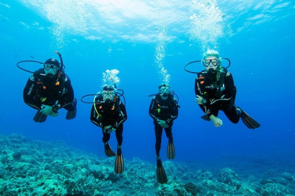 Fethiye Diving Adventure: Explore The Aegean Sea!