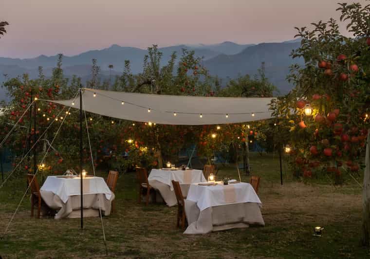 Fine Dining Experience Inside an Orchard in Nagano