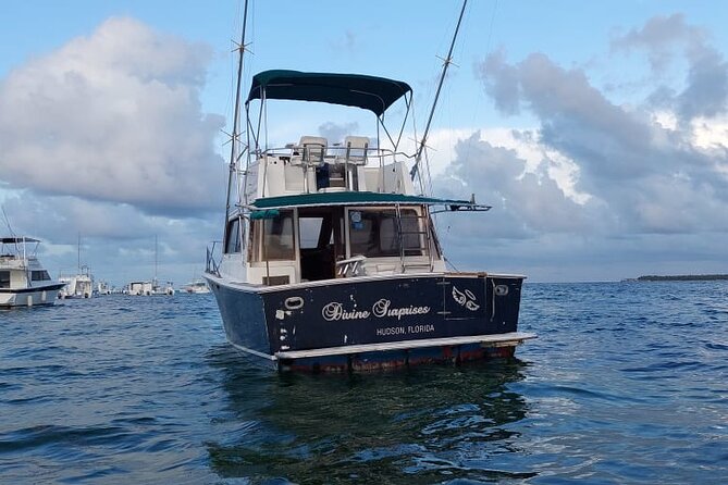 FISHING PRO CHARTERS - Boat Excursion - Divina