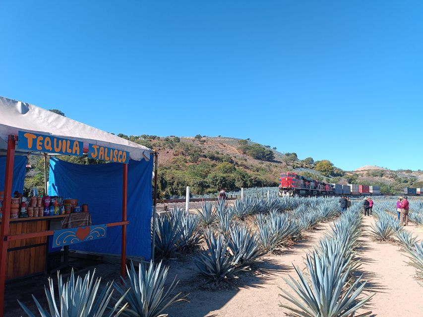 Five-Star Factory: Meet Orendain Tequila.