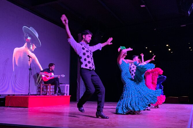 Flamenco Show at the Coliseo Theater in San Miguel - Flamenco Performance Details