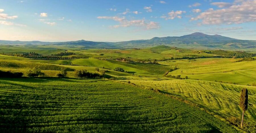 Florence: Chianti, Montalcino & Montepulciano Private Tour