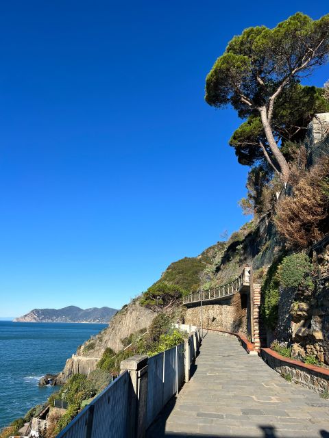 Florence: Cinque Terre&Pisa Private Day Tour With Transfer
