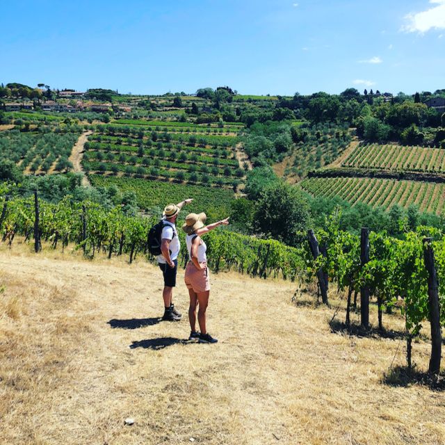 Florence: Tuscany & Chianti Classico Wine & Hike With Lunch - Tour Overview and Pricing