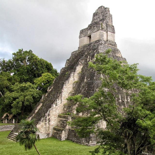 Flores: 1-Day Tikal Tour Private Service From Your Hotel
