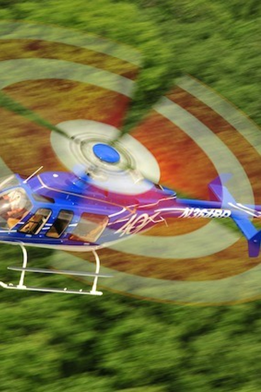 Fly Over Bran Castle and Brasov Region: Helicopter Tour