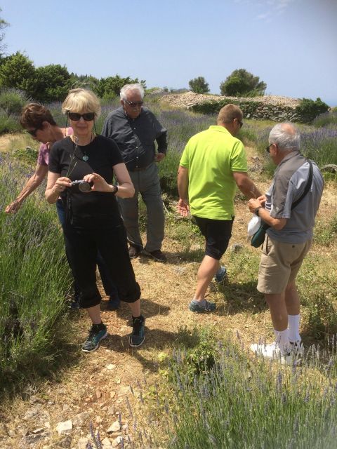 Food Tour: Traditional Flavours and Food Sampling on Hvar