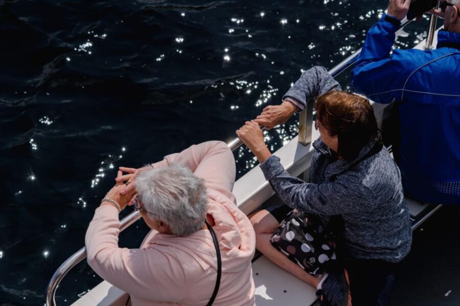 3 Best Cruises And Boat Tours In Fort William