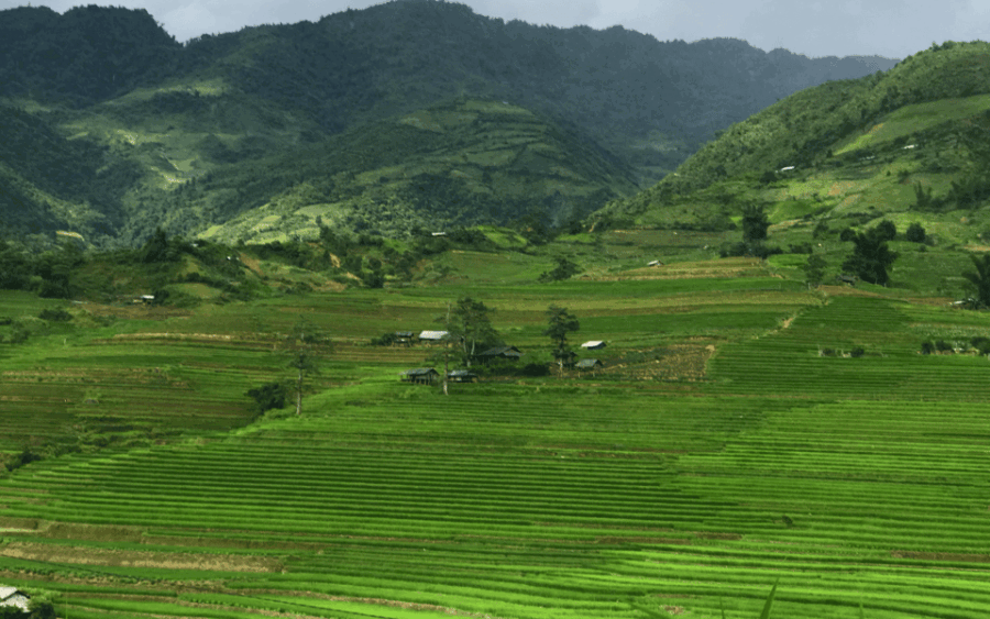 Free & Easy - 3D4N - Rice Terraces Treks & Easy Rider - Overview and Pricing