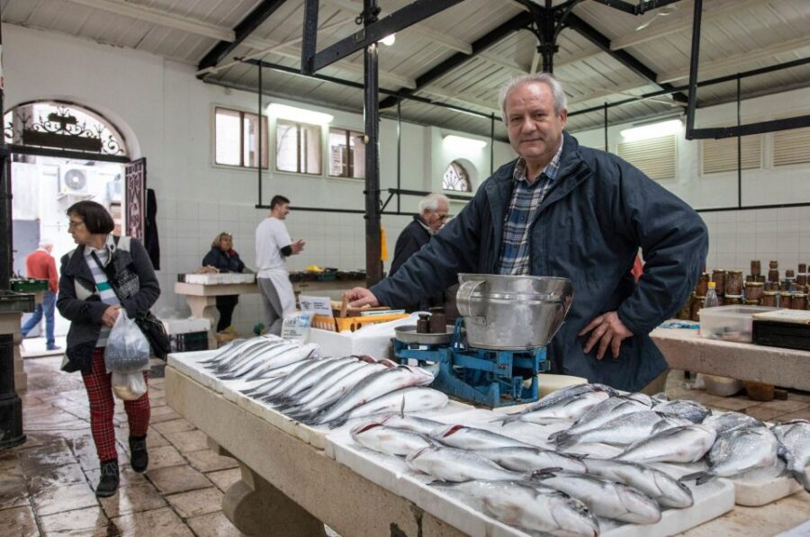 Fresh Catch: Private Split Tour & Seafood Dining Experience