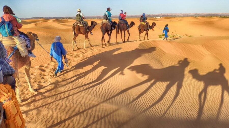 From Agadir: Camel Ride and Flamingo Trek - Activity Overview