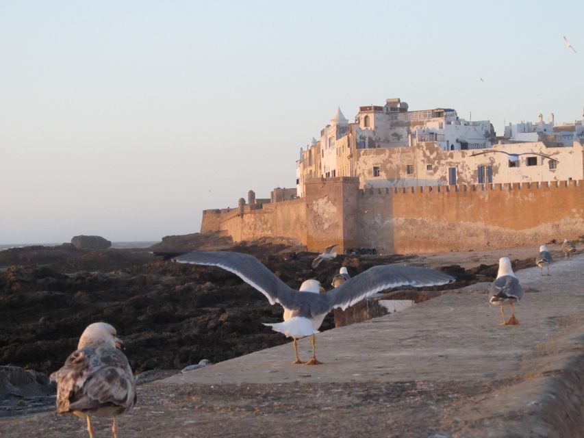 From Agadir: Essaouira Guided Day Trip