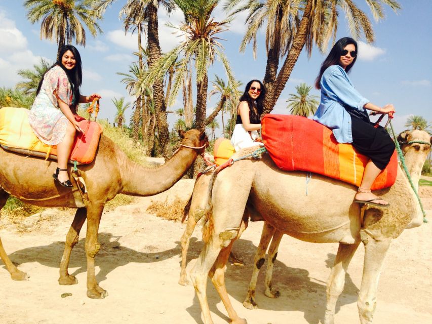 From Agadir or Taghazout: Camel Ride and Flamingo River Tour