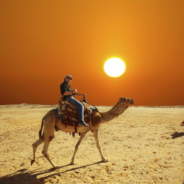 From Agadir or Taghazout: Camel Ride and Flamingo River Tour