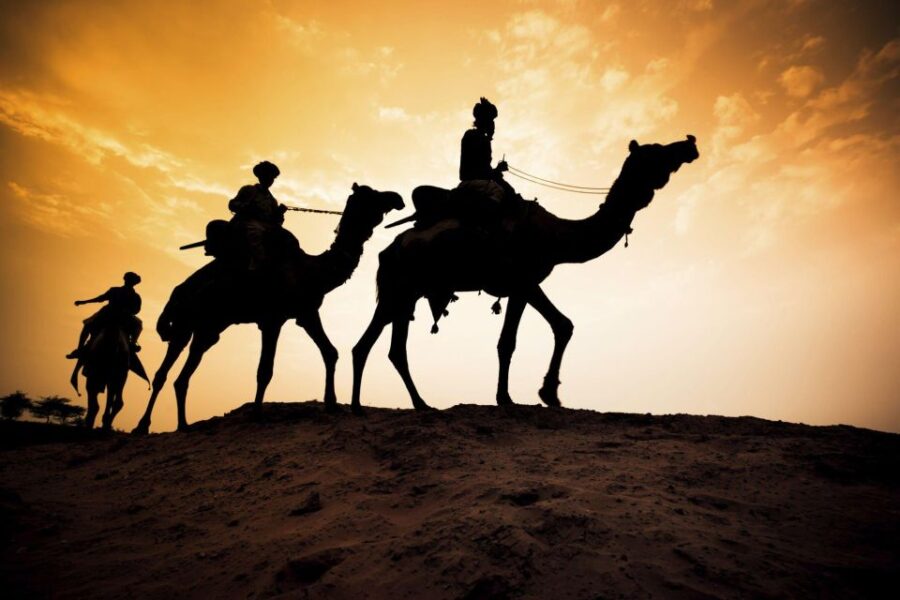 From Agadir or Taghazout: Camel Ride at Flamingo River & Tea