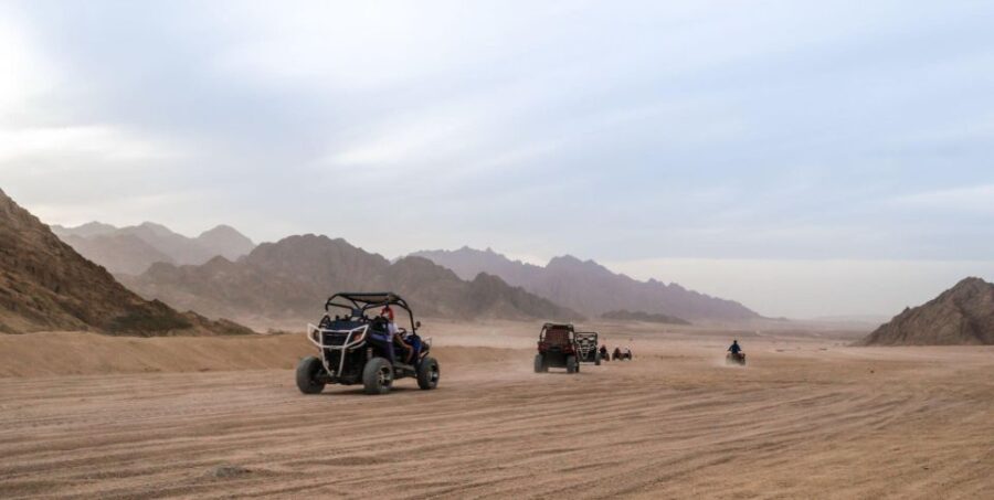 From Agadir or Taghazout: Dune Buggy Tour