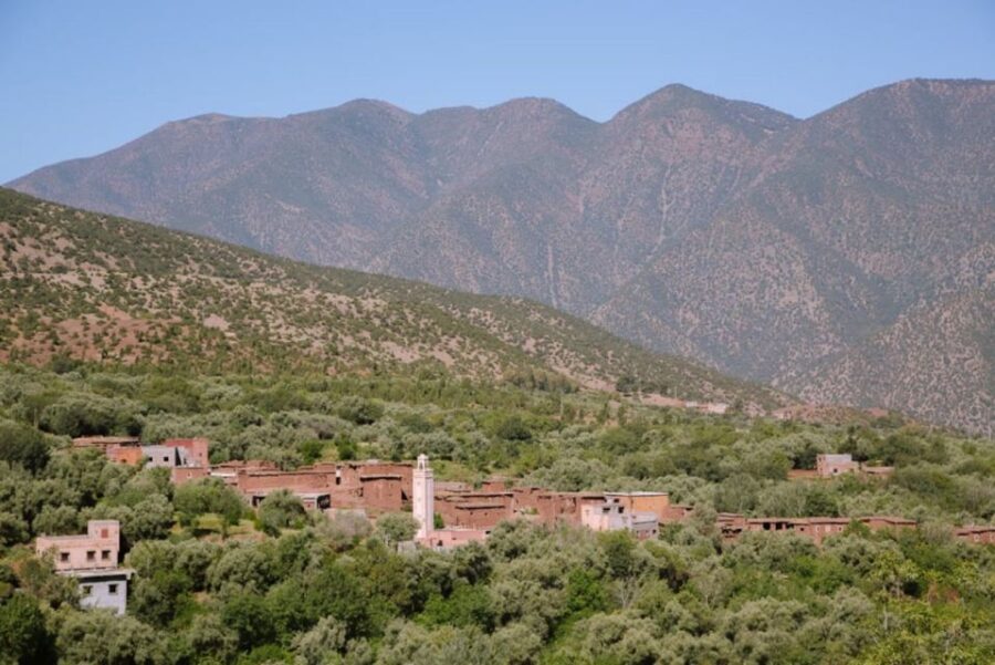 From Agadir & Taghazout: Paradise Valley Tour +Lunch +Drinks
