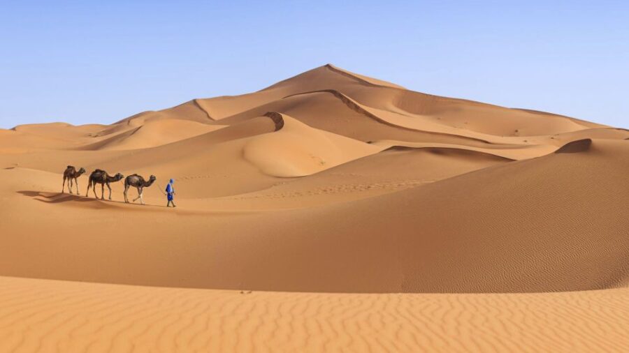 From Agadir/Taghazout: Sahara Sand Dunes With Transfer - Desert Dunes Adventure