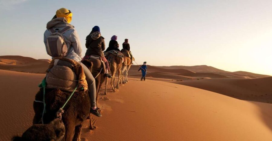 From Agadir/Taghazout: Sahara Sand Dunes With Transfer - Tour Overview
