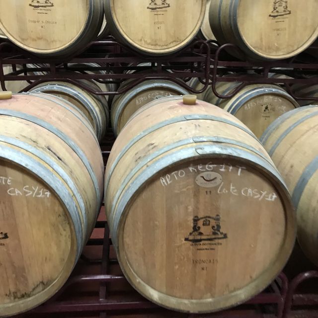 From Albufeira: Full-Day Wine Tasting Tour With a Guide - Itinerary Highlights