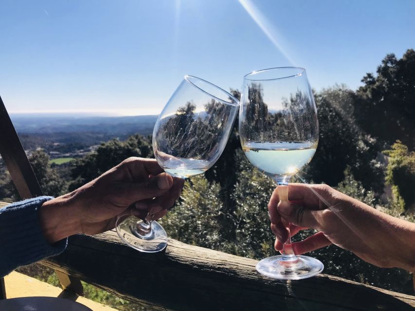 From Albufeira: Half-Day Winery Tour and Silves - Tour Overview
