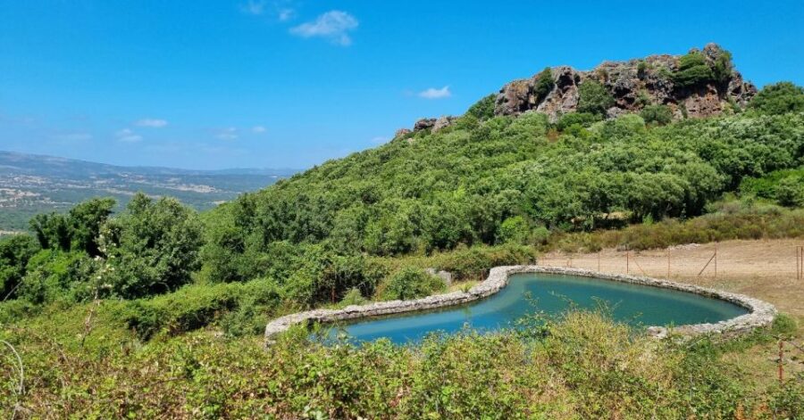 From Alghero: Farm to Table Cooking Experience in Montresta - Overview of the Experience