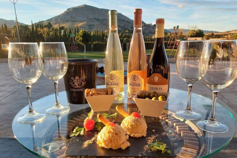 From Alicante: Guided Visit to an Old Winery. Tasting Included. - Tour Overview and Pricing