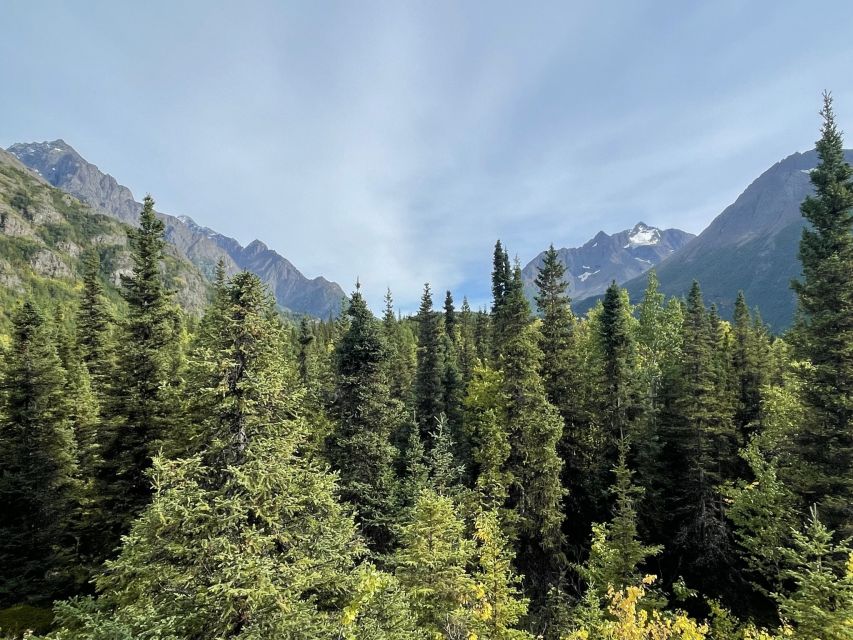 From Anchorage: Valley and Forest Hike With Naturalist Guide - Exploring Chugach State Park