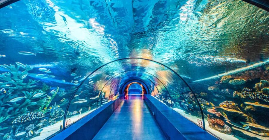 From Antalya All Region: Antalya Aquarium With Transfer - Tour Overview