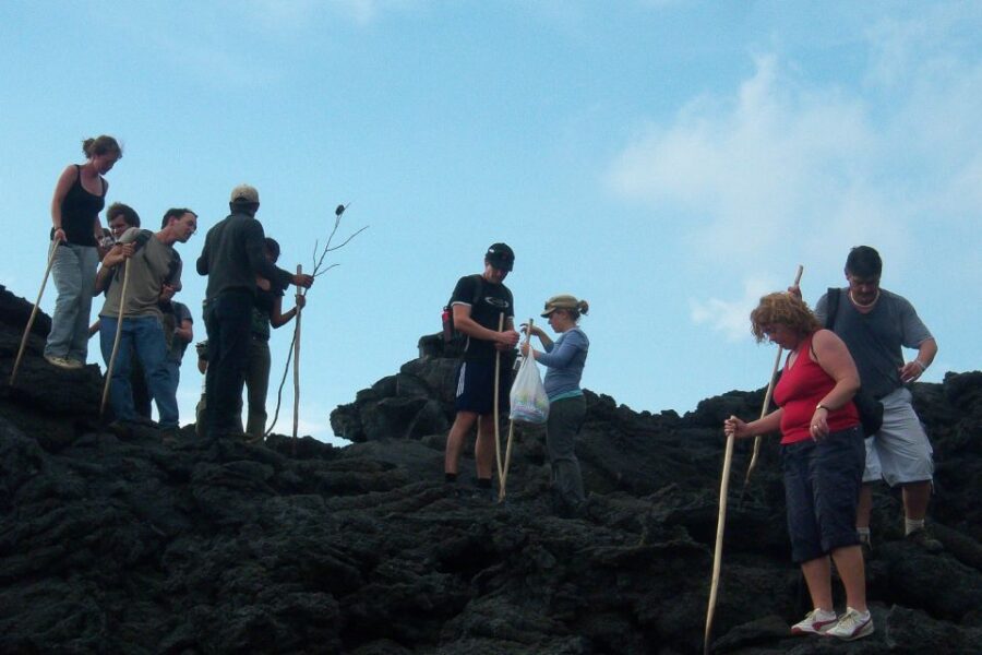 From Antigua: Pacaya Volcano Trek - Overview of the Trek