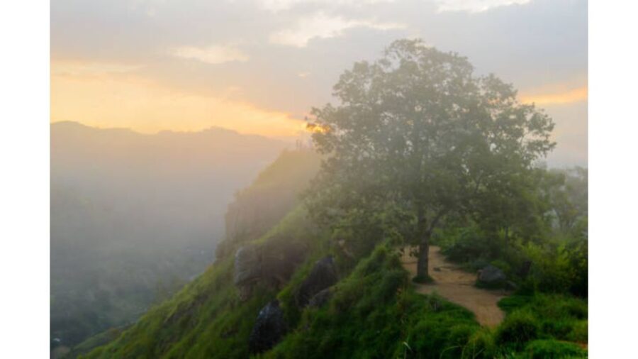 From Arugambay: Day Trip to Ella