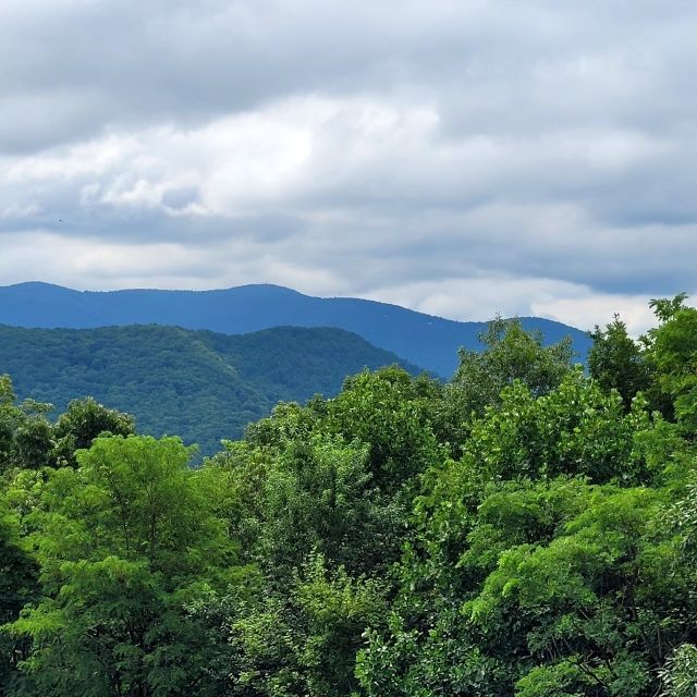 From Atlanta: Half-Day or Full-Day Wine Country Tasting Trip