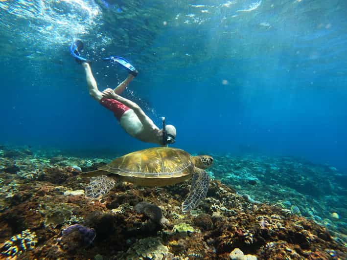 From Bali: Explore West Nusa Penida With Snorkeling