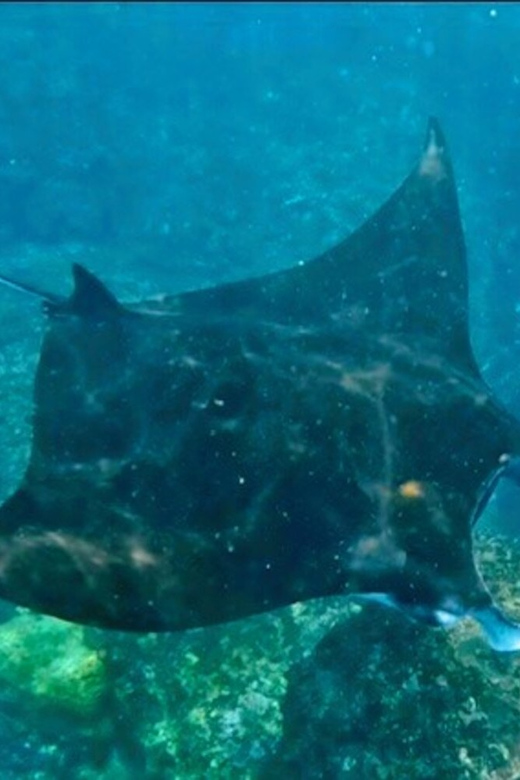 7 Best Tours In Nusa Lembongan