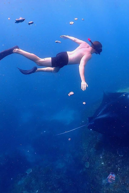 From Bali: Nusa Penida Island Day Tour With Snorkeling - Tour Overview and Pricing