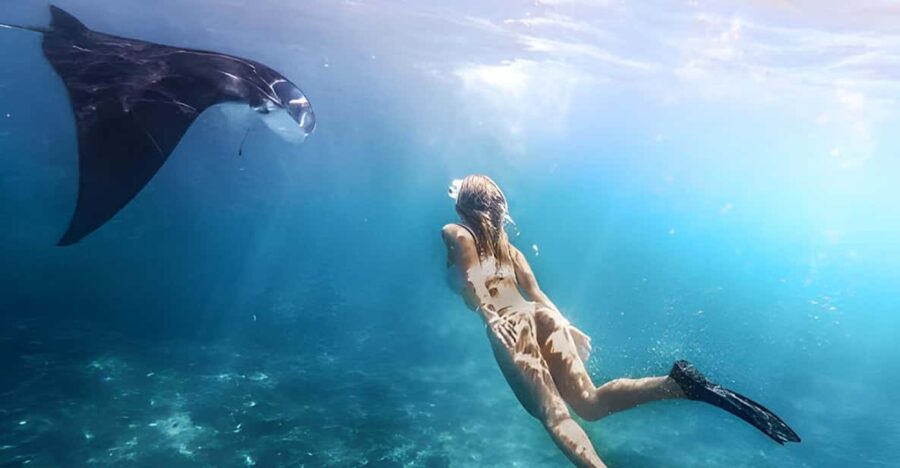 2 Best Snorkeling Experiences In Sanur
