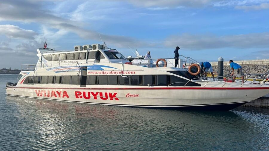 From Bali: Private Full Day East Nusa Penida Tour