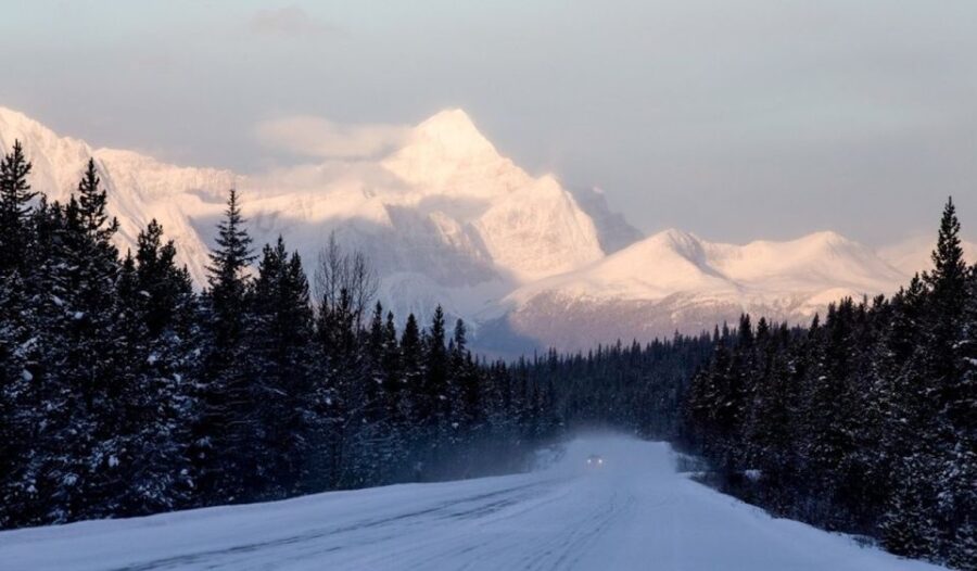 From Banff: Icefields Parkway & Abraham Lake Ice Bubbles - Tour Overview and Pricing