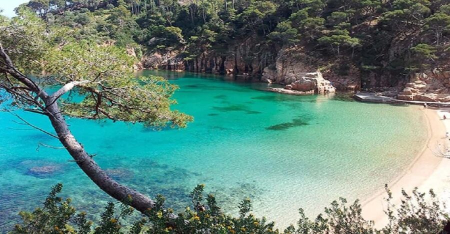 From Barcelona: to Aiguablava & Tamariu Beaches, Costa Brava