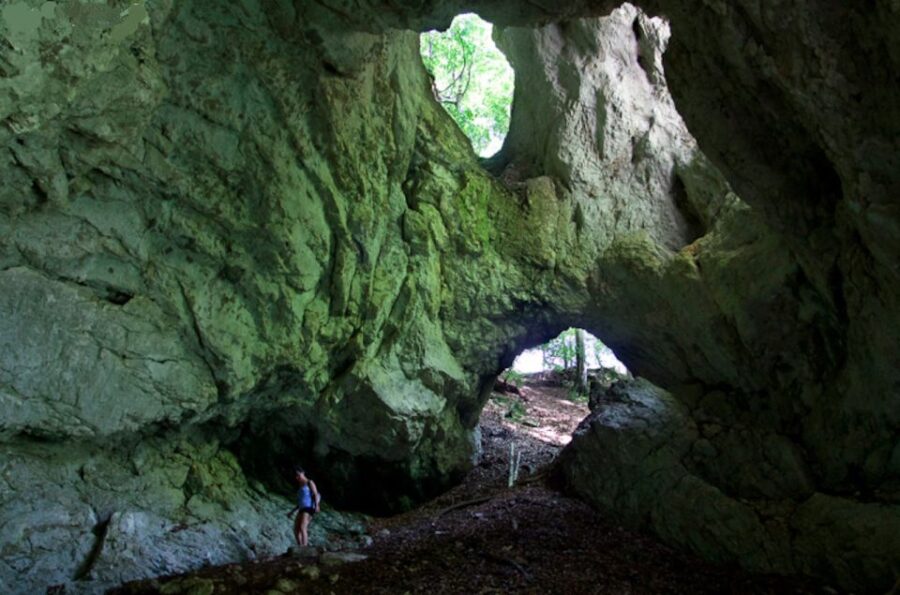 From Bled: Half-Day Pokljuka Gorge Trail Hike