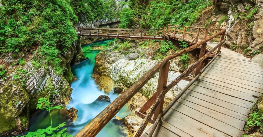 From Bled: Self-Guided E-Bike Tour to Vintgar Gorge