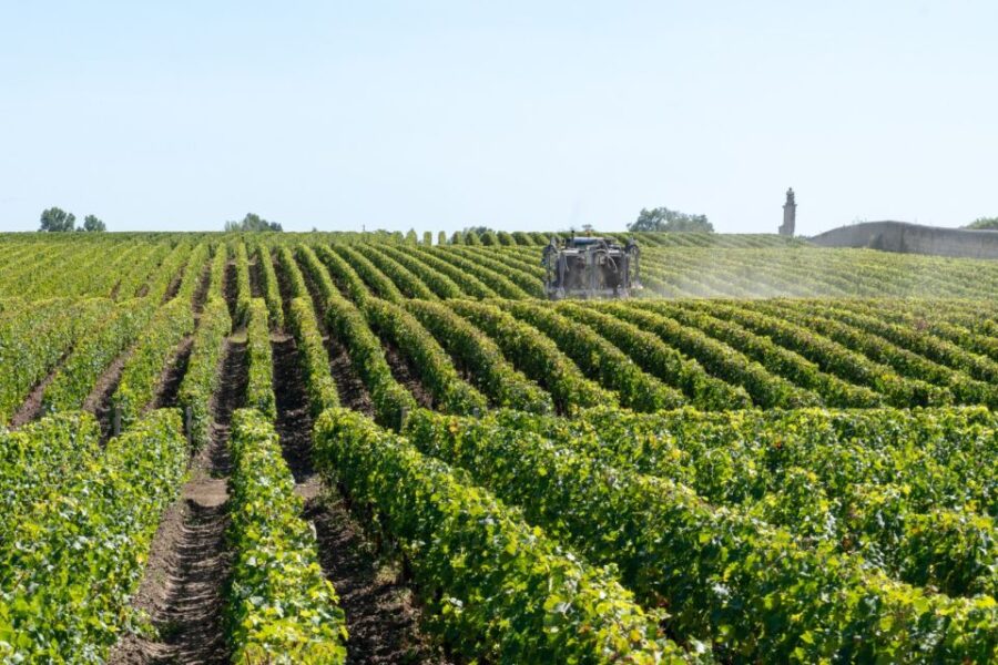 From Bologna: Franciacorta Lunch and Wine Tasting