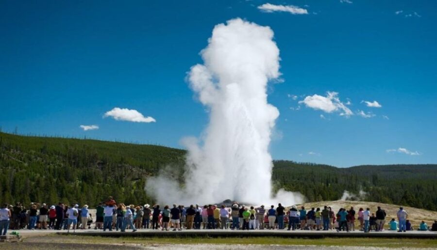 From Bozeman: Yellowstone Full-Day Tour With Entry Fee - Tour Overview and Pricing