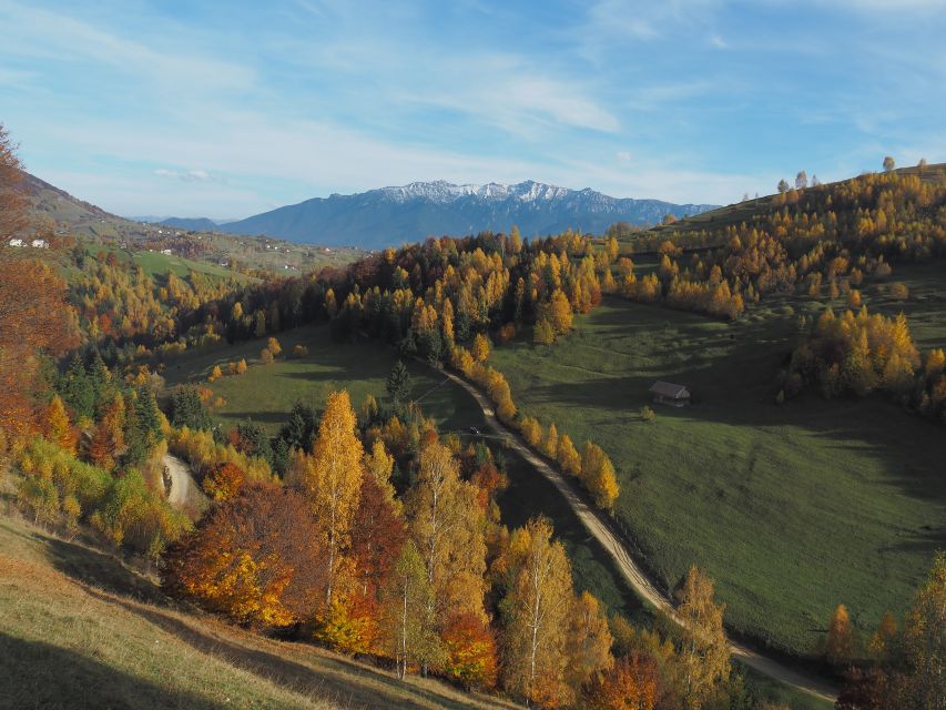 From Brasov: Piatra Craiului National Park 2-Day Guided Trek