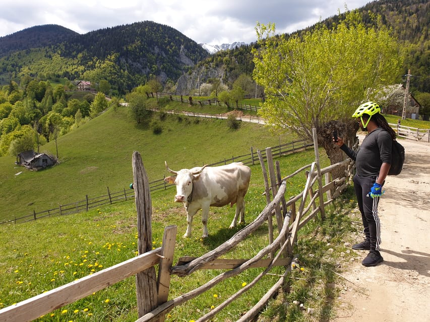 From Brasov : Piatra Craiului National Park on Ebike - Tour Overview and Details